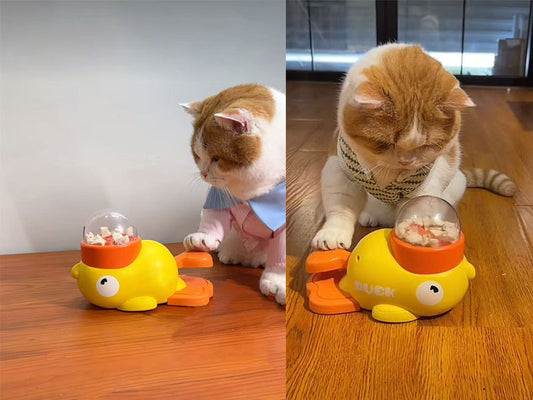 Cat Toys- Duckling Gachapon Treat Dispenser for Cats